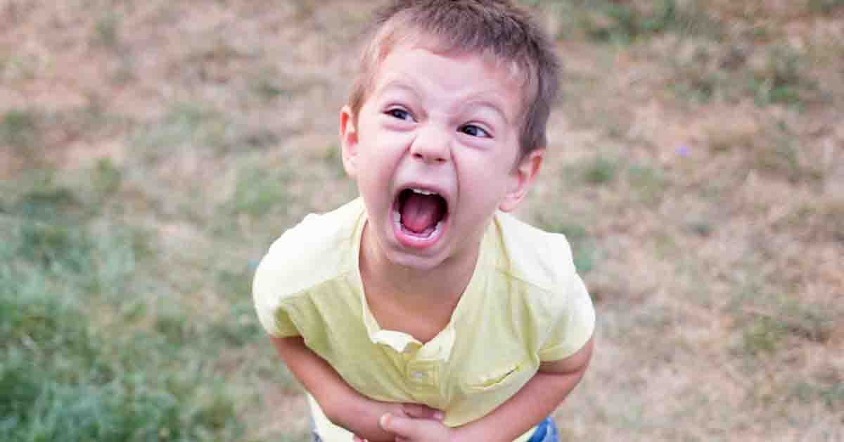 Ways To Stop Toddler Screaming Ask Dr Sears