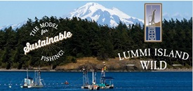 Lummi Island Wild